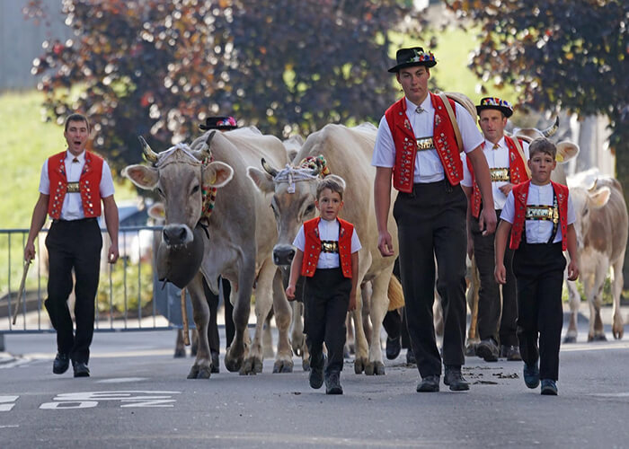 فرهنگ و آداب و رسوم مردم سوئیس
